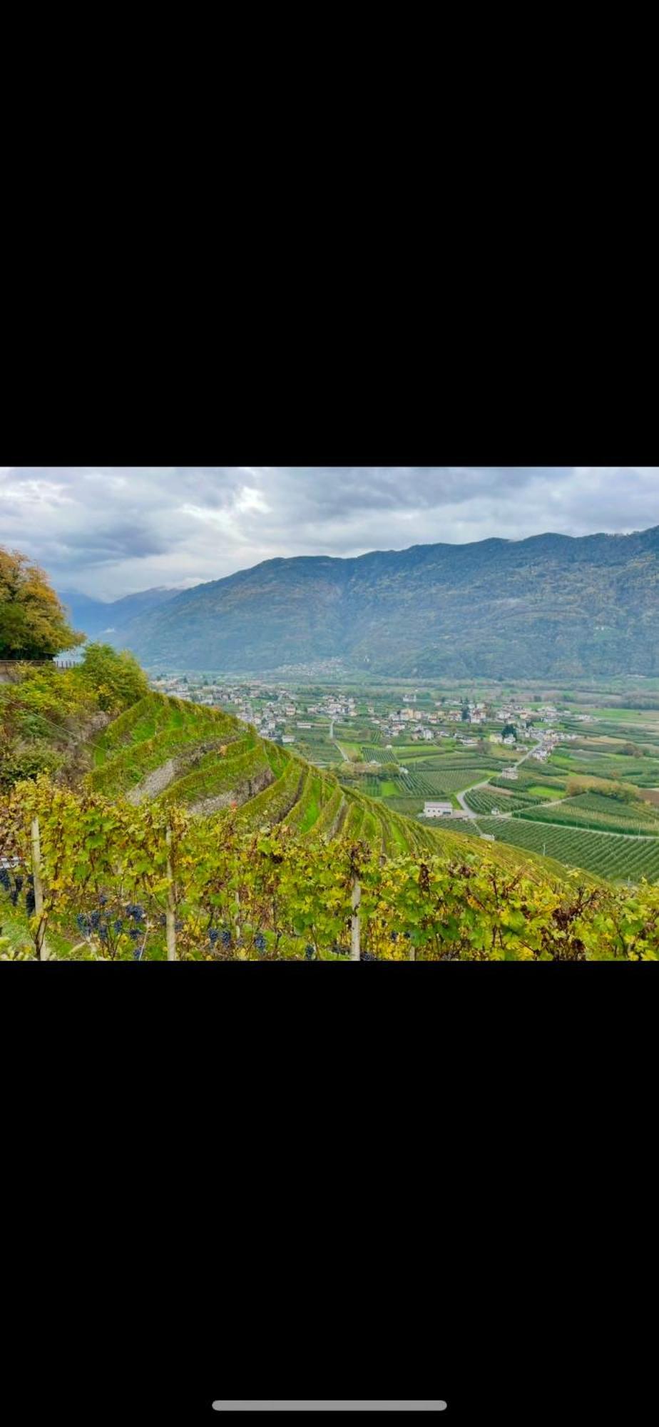 Ca Marasciol A 5 Minuti Dal Trenino Rosso Del Bernina Express 호텔 빌라 디 티라노 외부 사진